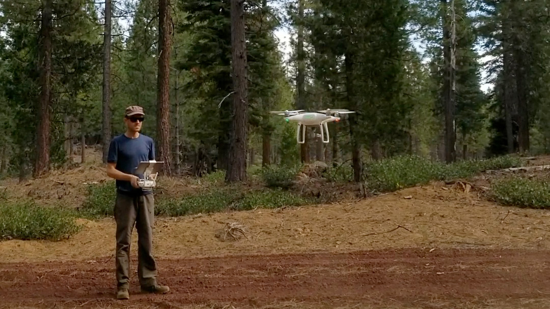 Using AI to Analyze Wildfire Impacts | UC Davis